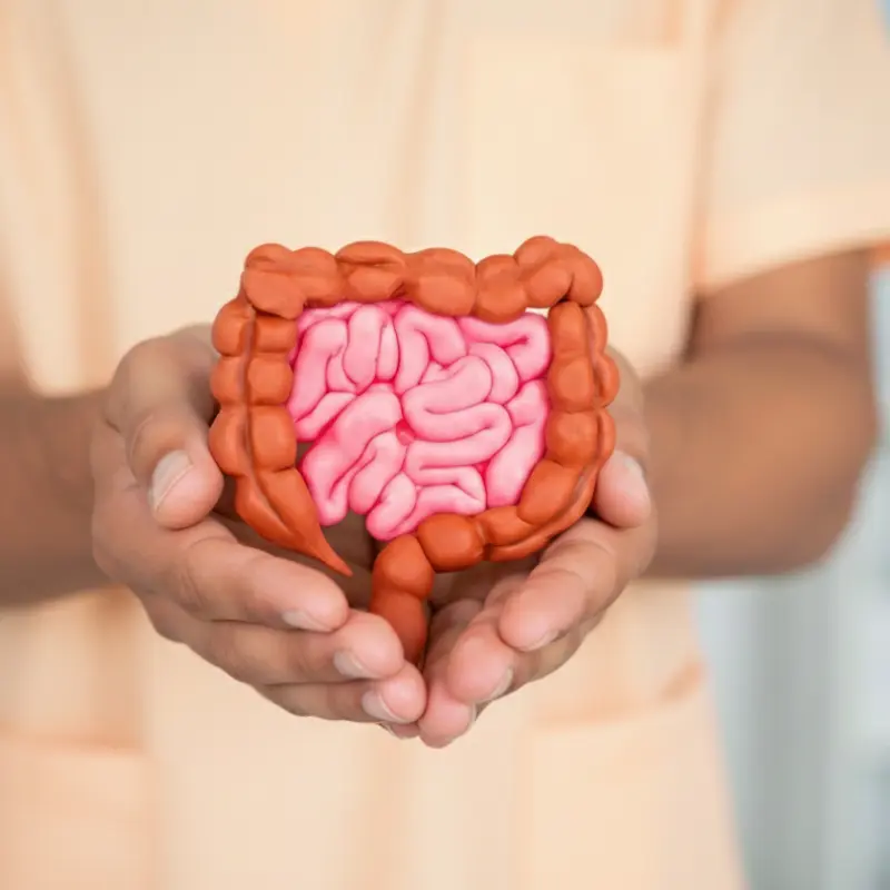 Gut Health